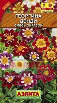 Семена цветов георгины "Воротничковая Денди" 0,3гр /Аэлита/ (10) Цветной пакет