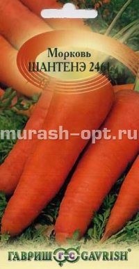 Семена моркови "Шантане" 2461 4гр /Гавриш/ (10) Цветной пакет - купить в Тамбове