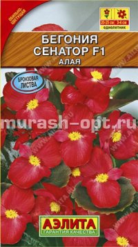 Семена цветов бегонии "Сенатор" Алая 0,2гр /Аэлита/ (10) Цветной пакет - купить в Тамбове