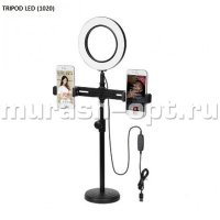 Светодиодная кольцевая лампа "TRIPOD" для фото и видео съемки  LED6" (1) - купить в Тамбове