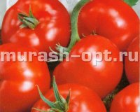 Семена томата "Санька" 0,15гр /Марс/ (20) Белый пакет - купить в Тамбове