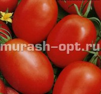 Семена томата "Новичок" 0,15гр /Марс/ (20) Белый пакет - купить в Тамбове