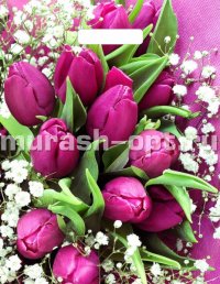 Пакет с прорезными ручками "Триумф" Розовые тюльпаны 31*40см 60мкм ПВД (50) - купить в Тамбове