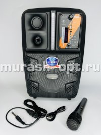 Портативная колонка "BT Speaker" с микрофоном 2*15W 65*23*19см (1) - купить в Тамбове