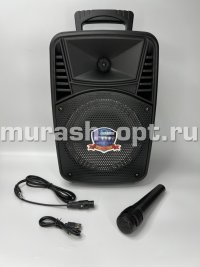 Портативная колонка "BT Speaker" 2*15W 65*23*19см (1) - купить в Тамбове