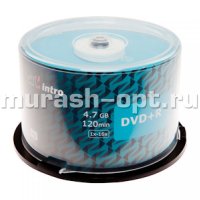 Оптический диск DVD+R "Intro" 4,7GB 16x CB50 (50/300) - купить в Тамбове