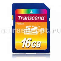 Карта памяти SD "Transcend" 16GB Class 10 (1) - купить в Тамбове