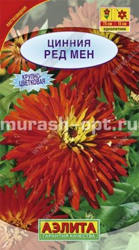 Семена цветов цинии "Рэд мен кактусовивидная" 0,3гр /Аэлита/ (10) Цветной пакет - купить в Тамбове