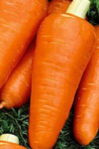 Семена моркови "Курода Шантане" 2гр /Аэлита/ (20) Белый пакет