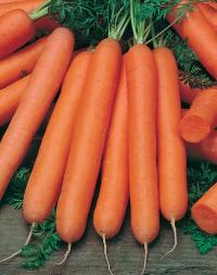 Семена моркови "Нантская" 4 2гр /Аэлита/ (20) Белый пакет