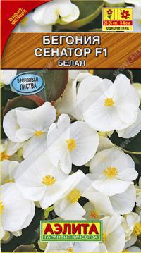 Семена цветов бегонии "Сенатор" Белая 0,2гр /Аэлита/ (10) Цветной пакет