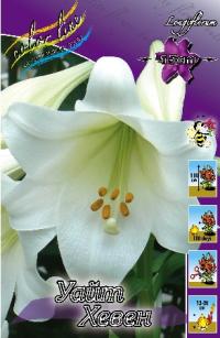 Луковица цветов лилии "Уайт Хевен" 7 шт (1)