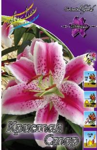Луковица цветов лилии "Кристал Стар" 5шт (1)