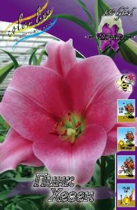 Луковица цветов лилии "Пинк Хевен" 5шт (1)