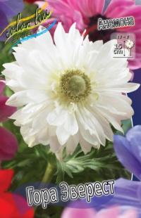 Луковица цветов анемоны "Гора Эверест" 10шт (1)