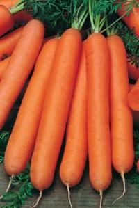 Семена моркови "Нантская" 4 2гр /Марс/ (20) Белый пакет