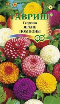 Семена цветов георгины "Яркие помпоны" 0,3гр /Гавриш/ (10) Цветной пакет