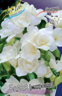Луковица цветов фрезии "Махровая" белая 10шт (1)