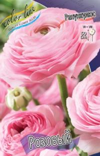 Луковица цветов ранункулюса "Розовый" 10шт (1)