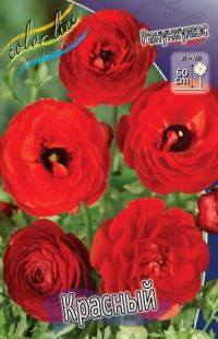 Луковица цветов ранункулюса "Красный" 10шт (1)
