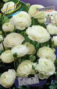 Луковица цветов ранункулюса "Белый" 10шт (1)