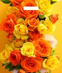 Пакет с прорезными ручками "Янтарь" Оранжевые розы 38*45см 60мкм ПВД (50)