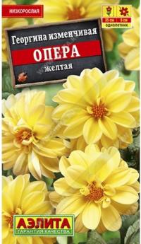 Семена цветов георгины "Опера жёлтая" 0,3гр /Аэлита/ (10) Цветной пакет