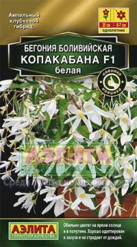 Семена цветов бегонии "Боливийская Копакабана белая" F1 5шт /Аэлита/ (10) Цветной пакет