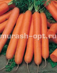 Семена моркови "Нантская" 4 2гр /Аэлита/ (20) Белый пакет - купить в Тамбове