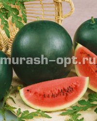 Семена арбуза "Сахарный малыш" 1гр /Аэлита/ (20) Белый пакет - купить в Тамбове