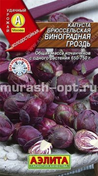 Семена капусты брюссельской "Виноградная гроздь" 1гр /Аэлита/ (10) Цветной пакет - купить в Тамбове