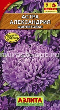Семена цветов астры "Александрия" фиолетовая 0,2гр /Аэлита/ (10) Цветной пакет - купить в Тамбове