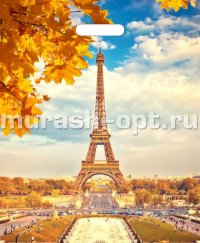 Пакет с прорезными ручками "Триумф" Осенний Париж 31*40см 60мкм ПВД (50) - купить в Тамбове