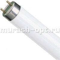 Лампа дневного света "Osram" L 36W/765 белый свет (25) - купить в Тамбове