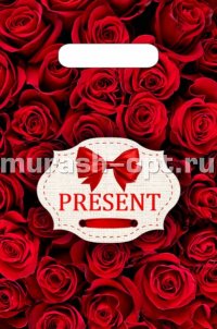 Пакет с прорезными ручками "Бутик" Презент бордо 20*30см 30мкм ПВД (100/1000)  - купить в Тамбове