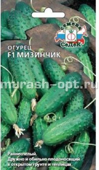 Семена огурцов "Мизинчик" 1гр /СеДеК/ (10) Цветной пакет - купить в Тамбове
