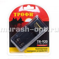 Зарядное устройство "Трофи" (6/24) /Заряжает 2*R03, 2*R6/ - купить в Тамбове