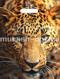 Пакет с прорезными ручками "Триумф" Взгляд леопарда 31*40см 60мкм ПВД (50) - купить в Тамбове