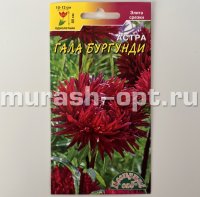 Семена цветов астры "Гала" Бургунди 0,1гр /Цв. Сад/ (10) Цветной пакет - купить в Тамбове