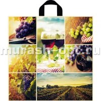 Пакет с петлевыми ручками "Фрукты" Виноградник 48*48см 55мкм ПВД (50/300)  - купить в Тамбове