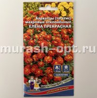 Семена цветов бархатцев "Елена Прекрасная" махровые 0,2гр /Уральский дачник/ (10) Цветной пакет - купить в Тамбове