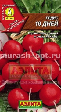 Семена редиса "16 дней" 3гр /Аэлита/ (20) Цветной пакет - купить в Тамбове
